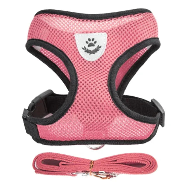 Pettorina Comfort Traspirante per Gatti con Guinzaglio Incluso 🐱✨