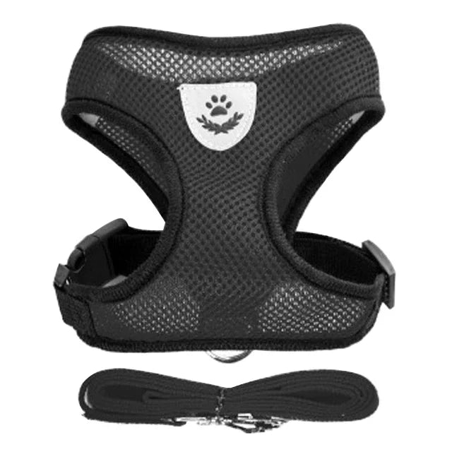 Pettorina Comfort Traspirante per Gatti con Guinzaglio Incluso 🐱✨