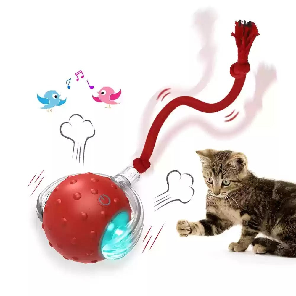 🐱 Palla Giocattolo Interattiva per Gatti – Pallina Automatica Rotolante Anti Noia