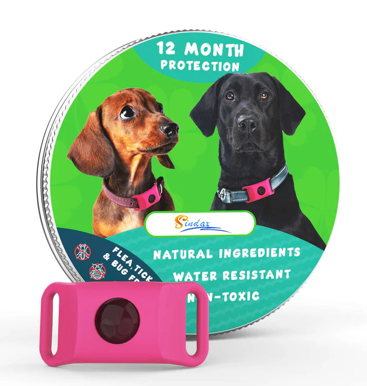 🐶 Collare Antiparassitario per Cani e Gatti – Protezione contro Pulci, Zecche e Parassiti