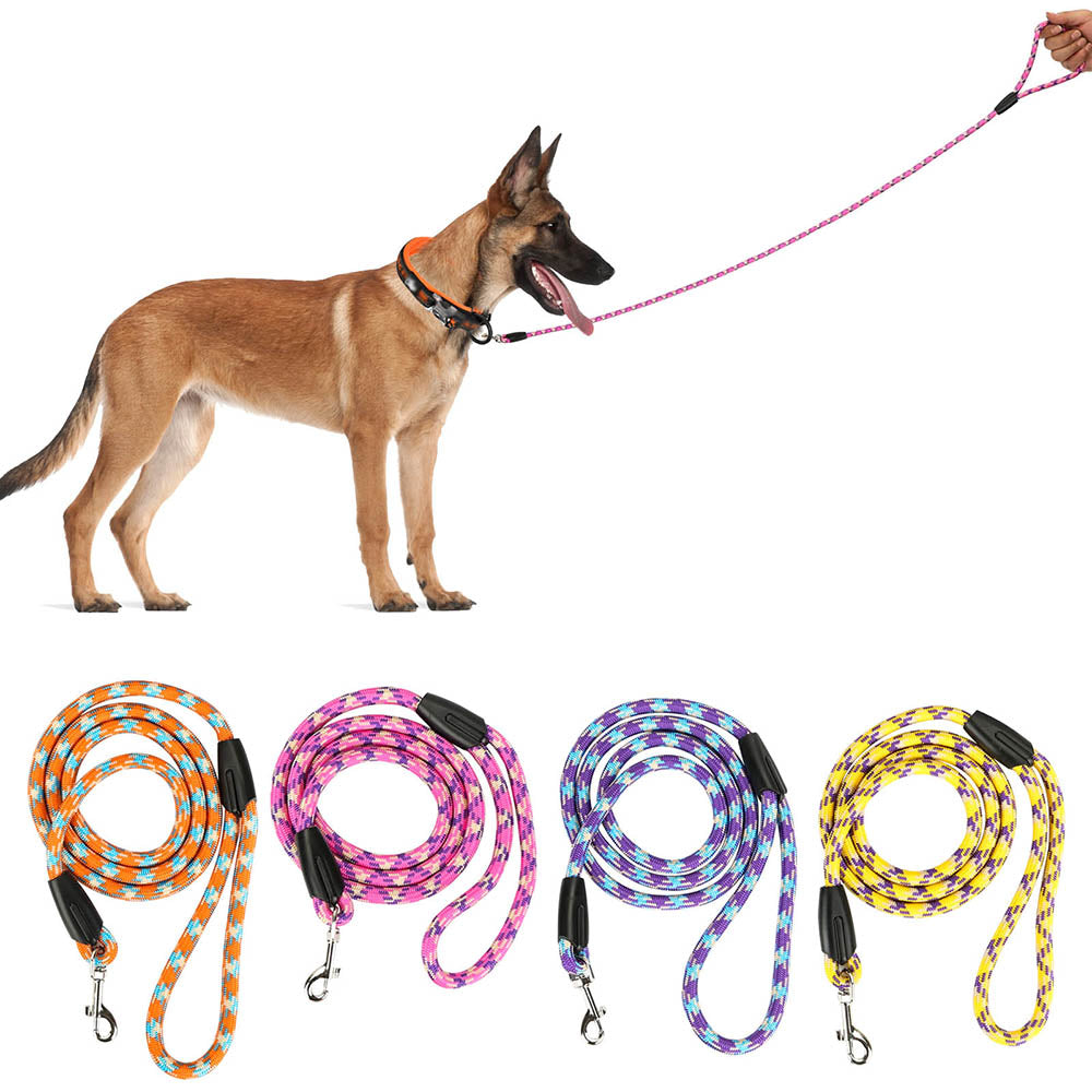 🐶 Guinzaglio colorato per cani di piccola e media taglia – nylon resistente