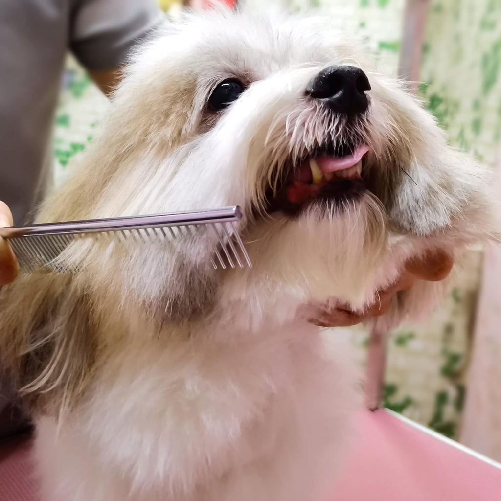 🐶🐱 Set forbici professionali per toelettatura – dritte, sfoltitrici e pettin