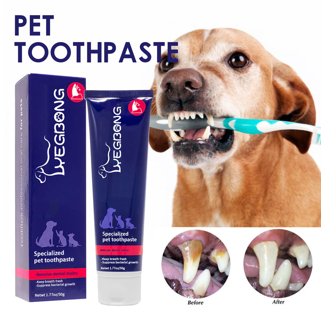 🐶🐱 Dentifricio per cani e gatti – contro alito cattivo e placca