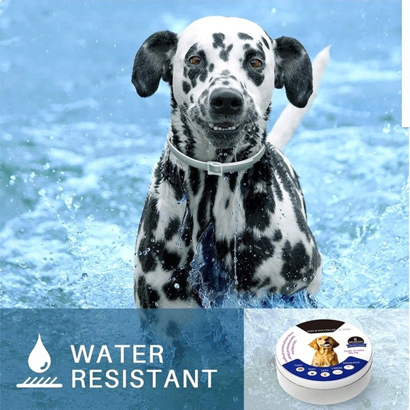 🛡️ Collare antipulci e antizecche impermeabile regolabile per cani