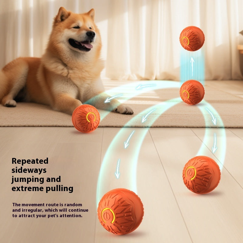 ⚡ Palla automatica luminosa per cani – gioco interattivo ricaricabile