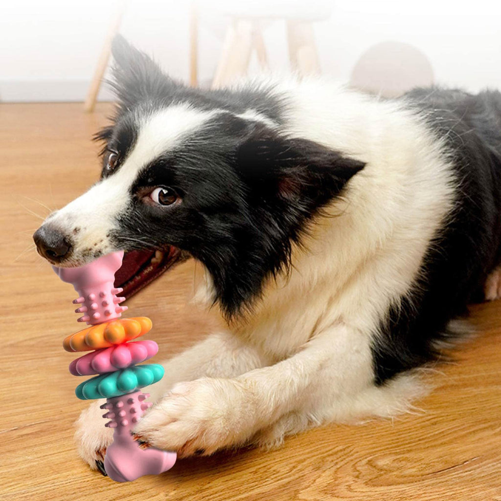 🐶 Giocattolo da masticare per cani – osso resistente per pulizia denti