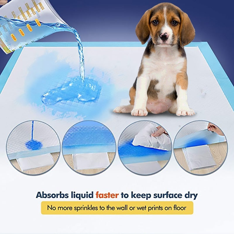 🐾 Tappetini Assorbenti per Cani – Ultra Assorbenti, Anti-Odore e Anti-Perdita