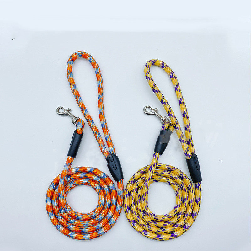 🐶 Guinzaglio colorato per cani di piccola e media taglia – nylon resistente