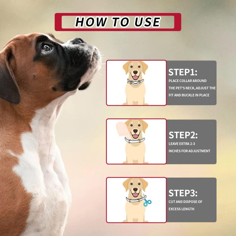 🛡️ Collare antipulci e antizecche impermeabile regolabile per cani